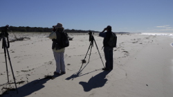Monitoring birds on Stradbroke Island Photo by Greg Miller