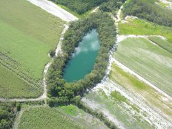 Wetland, Photo by Steve Elson