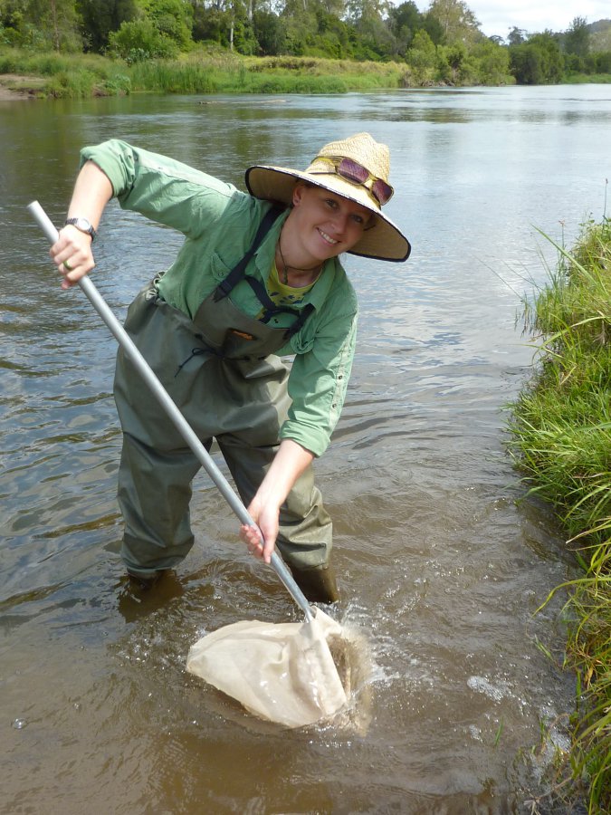 Macroinvertebrate sampling