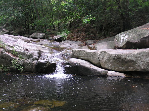 Upper Cedar Creek Photo by Moreton Bay Regional Council