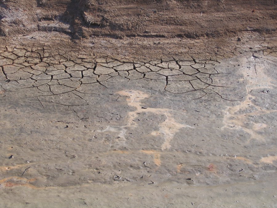 Salt affected irrigation channel Photo by DNRM