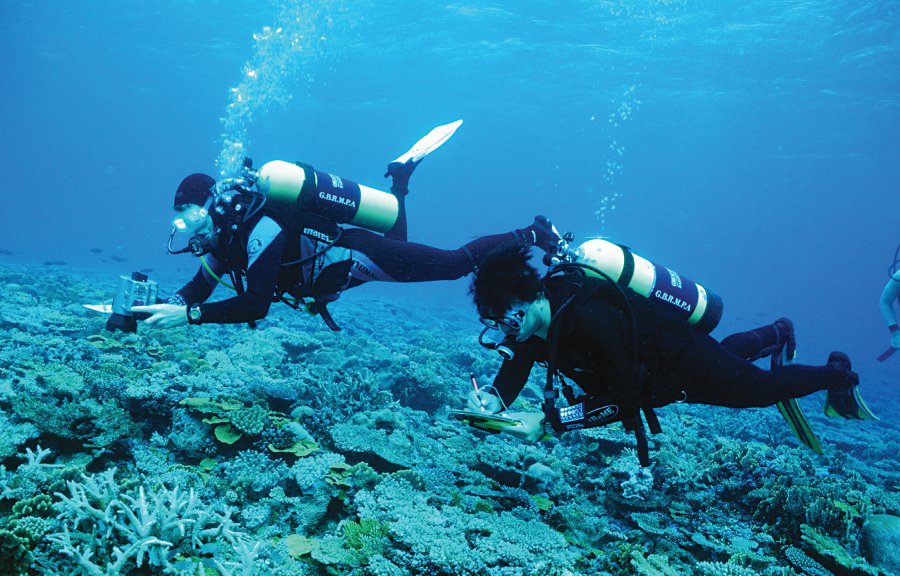 Great barrier reef monitoring