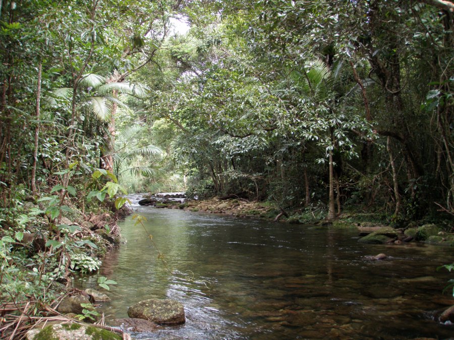 Figtree Creek Wet Tropics Photo by Water Planning Ecology Group, DSITIA