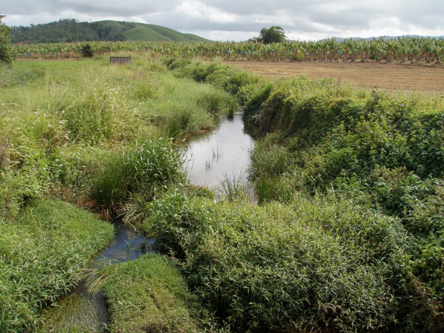 Tributary of Liverpool Creek Photo by Water Planning Ecology Group, DSITIA