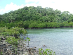 Long Island, Photo by Cathy Ellis