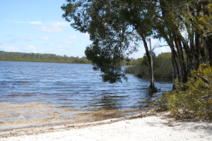 Brown Lake Photo by Andea Ferris