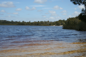 Brown Lake Photo by Andea Ferris