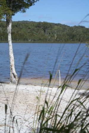 Brown Lake Photo by Andea Ferris