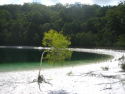 Fraser Island Photo by Lana Heydon