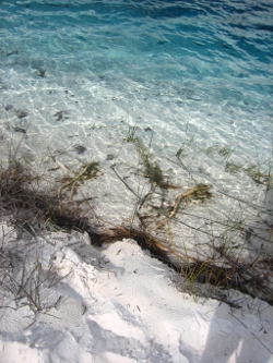 Fraser Island Photo by Lana Heydon