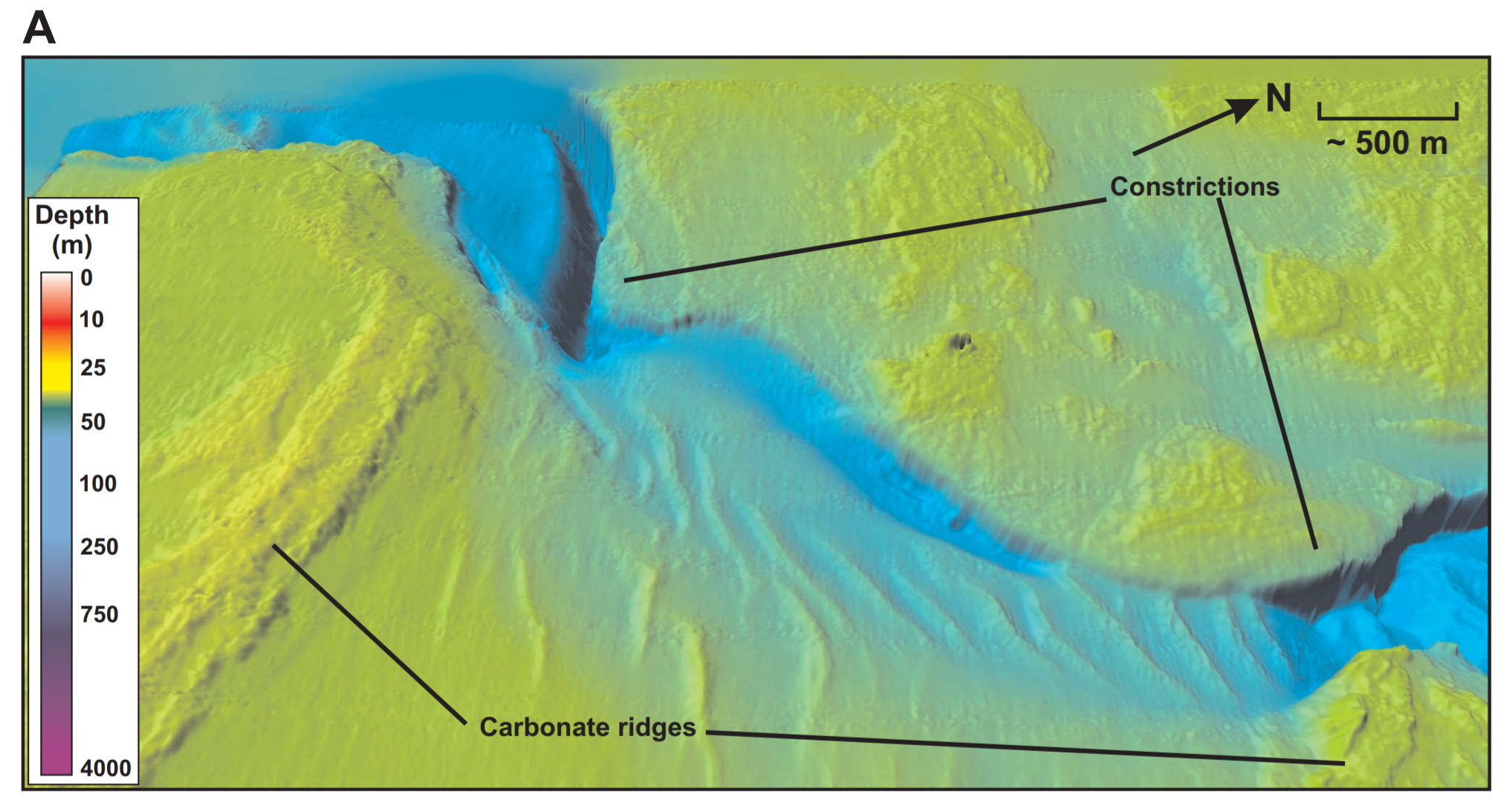 Figure 3 - Carbonate ridges in the study area. Photo by Payenberg <em>et al.</em> 2006