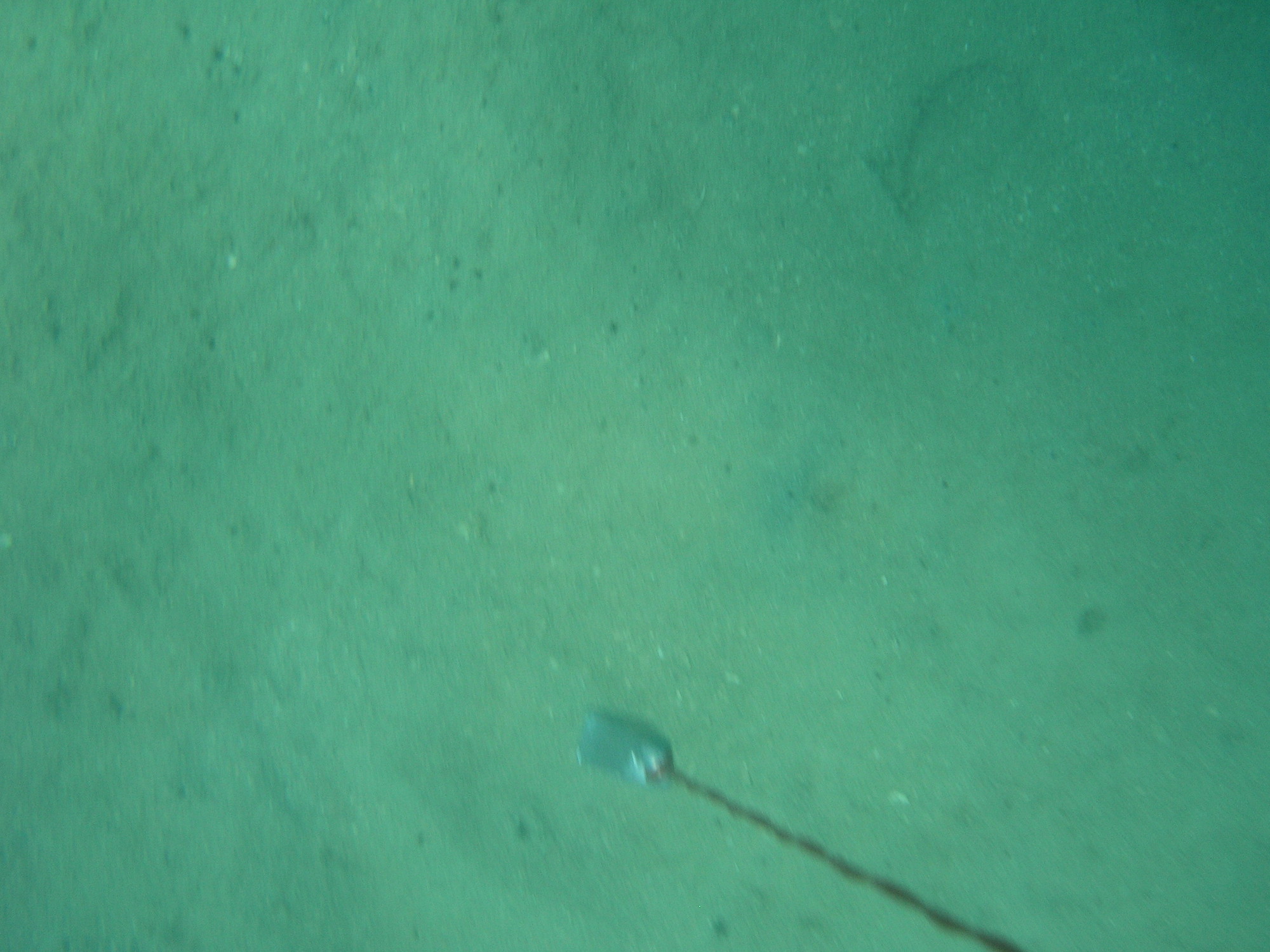 Subtidal sand (low energy). Photo by Maria Zann