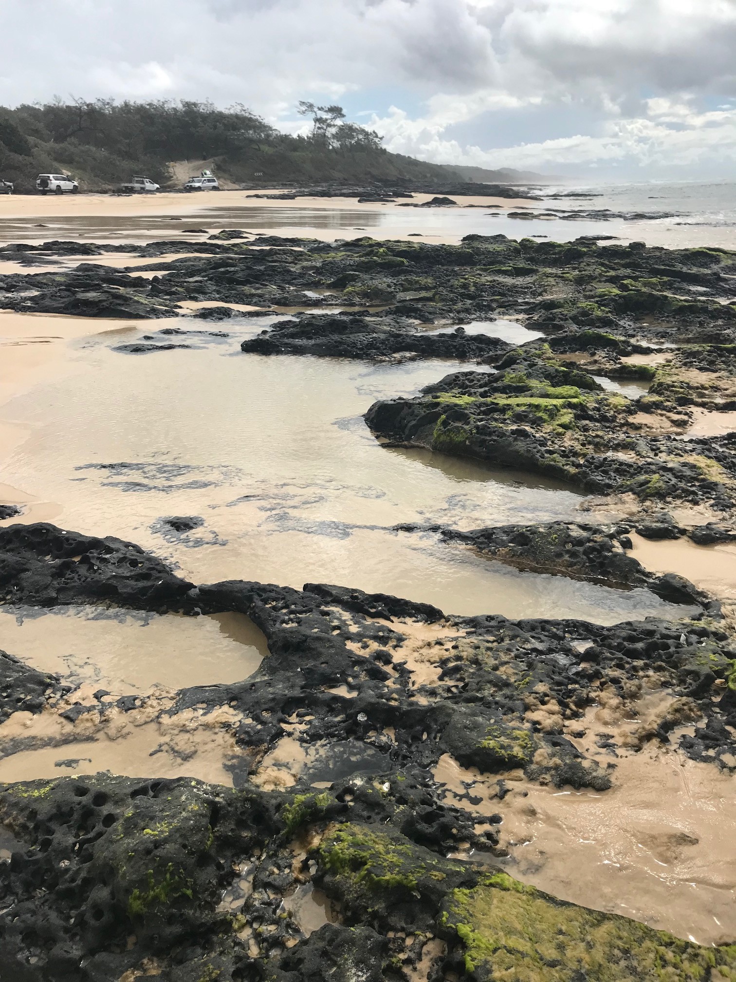 Poyungan rock pools. Photo by Linda Behrendorff, Queensland Government