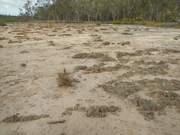 Claypan. Photo by Maria Zann