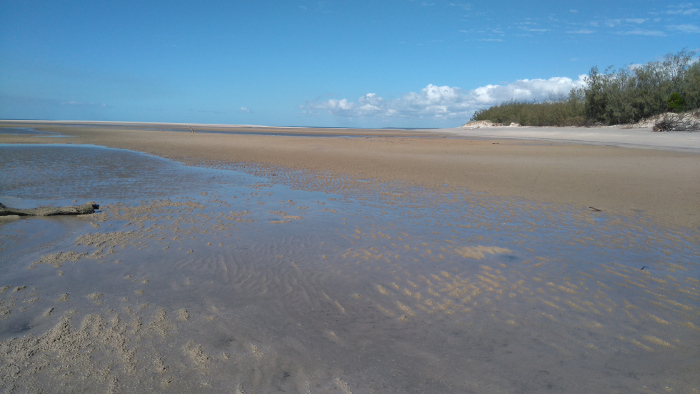 Sandy Beach, Woodgate. Photo by Maria Zann