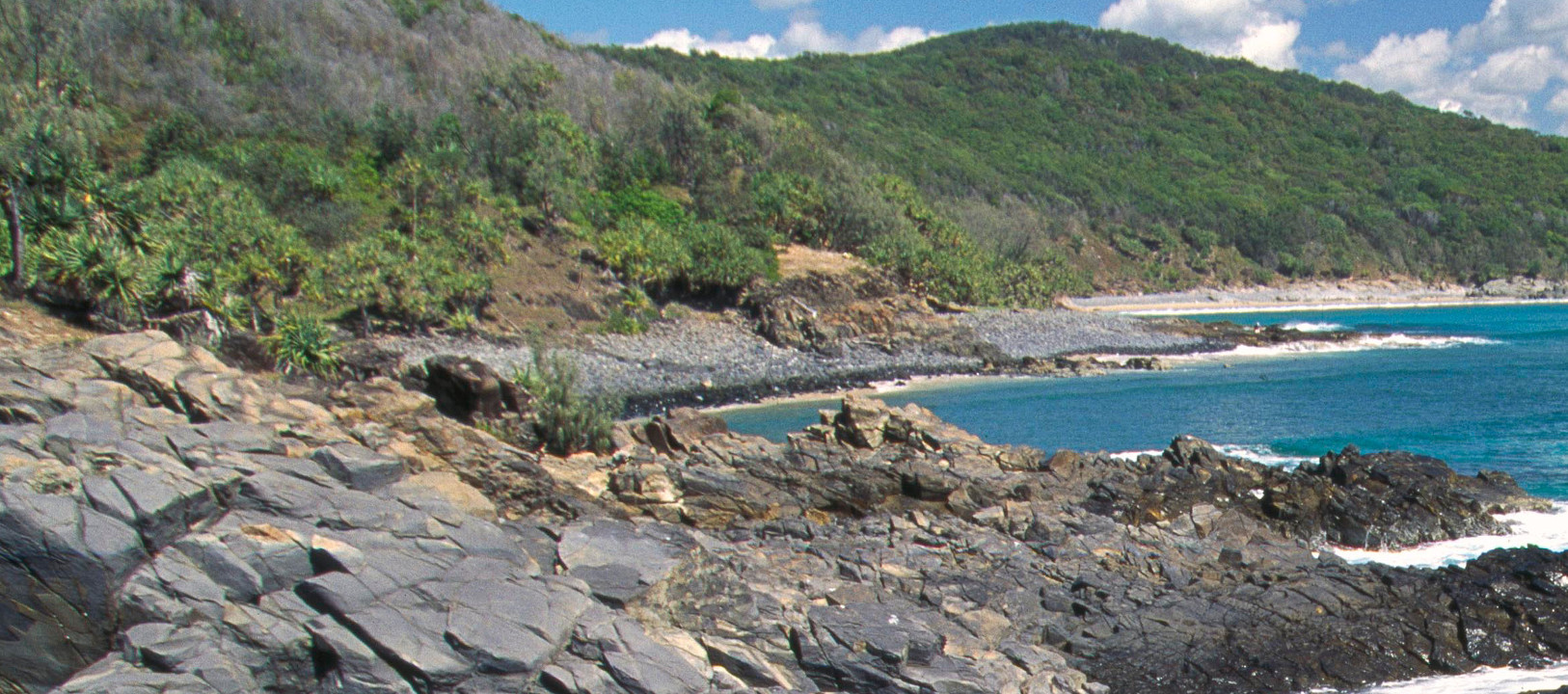 Middle distance, Noosa National Park, shingle beach. Photo by Queensland Government