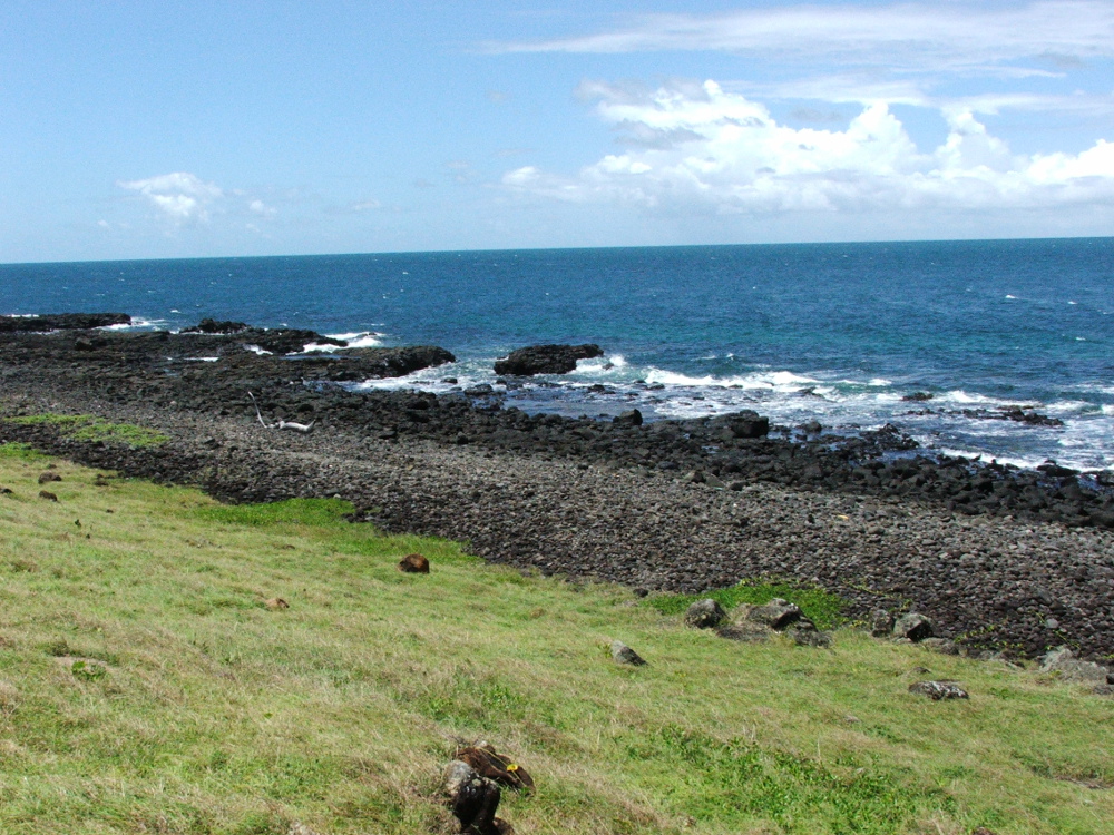 Bargara coast. Photo by Kirsten Wortel, Queensland Government