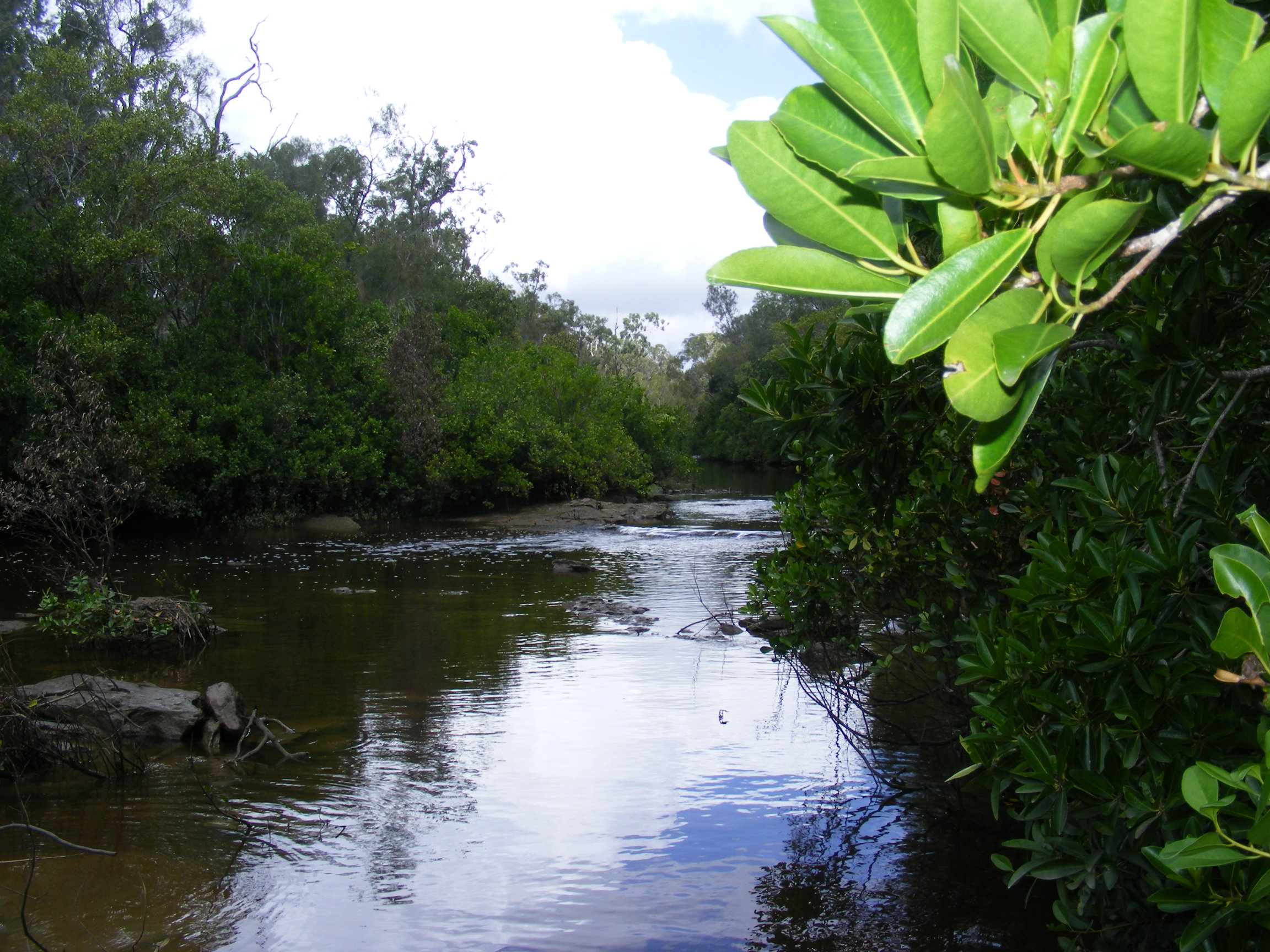 Lower energy boulders. Photo by Natalie Kastner, Queensland Government