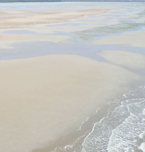 Intertidal sand, unknown energy. Photo by TropWATER Seagrass Ecology Group