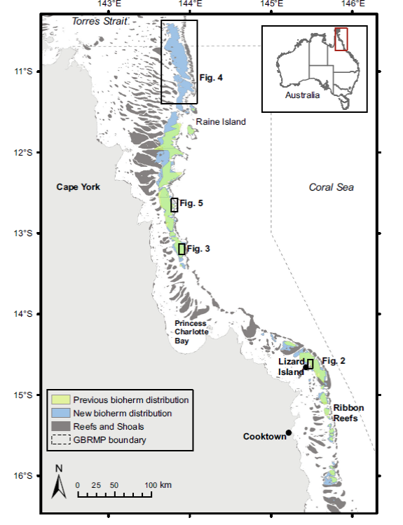 Figure 1: Halimeda bioherms - McNeil 2016