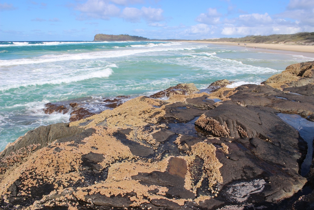 Rocky headland on Fraser Island, Photo by L Behrendorff