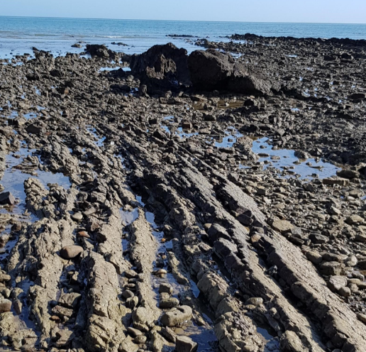 Rough terrain of rocky shore, Point Vernon, Queensland. Photo by Maria Zann