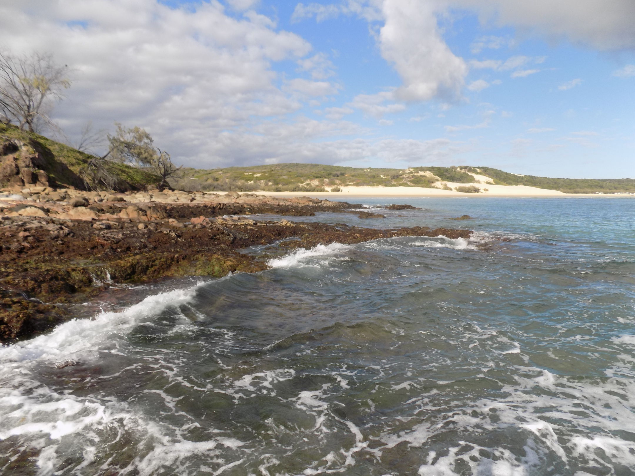 These consolidated rocky headlands and submerged reefs have greater terrain roughness than the unconsolidated beaches and dunes in the background. Photo by Queensland Government, Sven Lavender