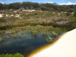 Stradbroke Island, Photo by Lana Heydon