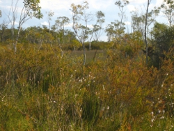 Stradbroke Island Photo by Lana Heydon