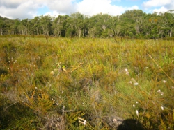 Stradbroke Island Photo by Lana Heydon
