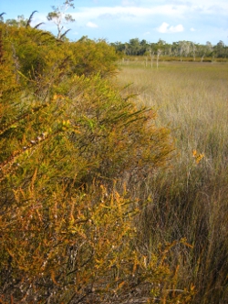 Stradbroke Island Photo by Lana Heydon