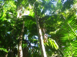 Fraser Island Photo by Lana Heydon