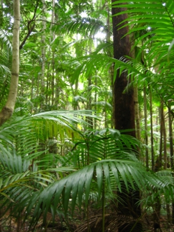 Fraser Island Photo by Lana Heydon