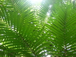 Fraser Island Photo by Lana Heydon