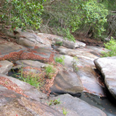 Rock substrate Photo by Water Planning Ecology Group, DSITIA
