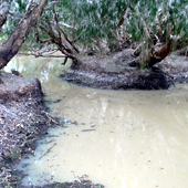 Cape River, Photo by Water Planning Ecology Group, DSITIA