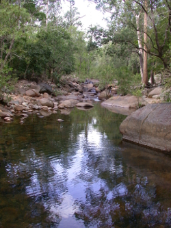 Cockatoo Creek Bowling Green Bay National Park Photo by Water Planning Ecology Group, DSITIA