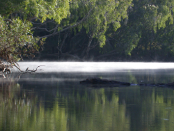 Funnel Creek Fitzroy Basin Photo by Water Planning Ecology Group, DSITIA