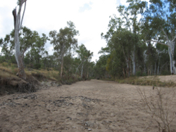 No flow periods are common  in the Central Freshwater Biogeographic Province Photo by Water Planning Ecology Group, DSITIA