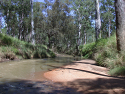 Sandy substrate in the edge habitat of the Burdekin River Photo by Water Planning Ecology Group, DSITIA