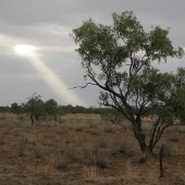 Cloudy days cooler temperatures Photo by Water Planning Ecology Group, DSITIA