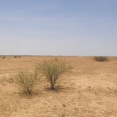 Example of soils with poor water retention Photo by Water Planning Ecology Group, DSITIA