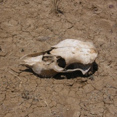 Dry river Photo by Water Planning Ecology Group, DSITIA