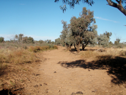 Dry river bed upstream of Kyabra Waterhole Photo by Water Planning Ecology Group, DSITIA