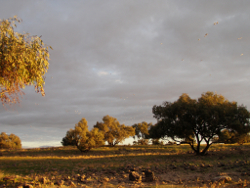 Sunset in the Lake Eyre basin Photo by Water Planning Ecology Group, DSITIA