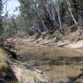 Dogwood Creek, Photo by Water Planning Ecology Group, DSITIA