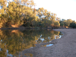 The Macintyre River Photo by Water Planning Ecology Group, DSITIA