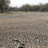 Dry cracked wetland Photo by Water Planning Ecology (DSITIA)