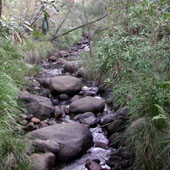 Black Swamp Spillway, Photo by Water Planning Ecology Group, DSITIA