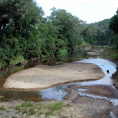 Mary River, Photo by Water Planning Ecology Group, DSITIA